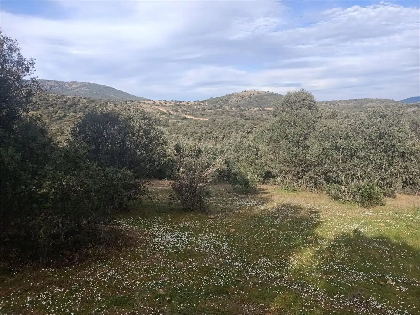 Land for sale in Fuenlabrada de los Montes Land for sale in Fuenlabrada de los Montes