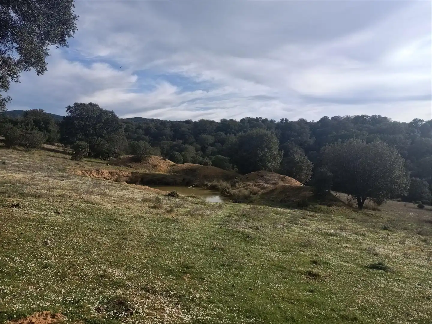 Land for sale in Fuenlabrada de los Montes Land for sale in Fuenlabrada de los Montes