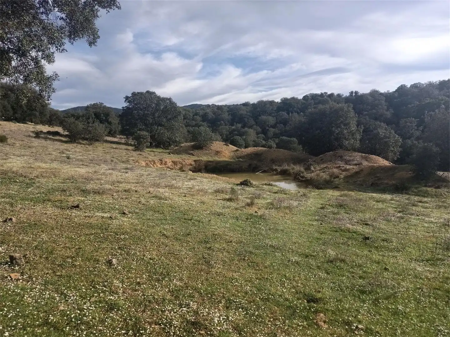 Land for sale in Fuenlabrada de los Montes Land for sale in Fuenlabrada de los Montes