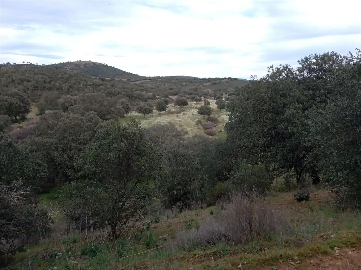 Land for sale in Fuenlabrada de los Montes Land for sale in Fuenlabrada de los Montes