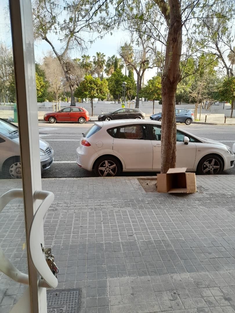 Local de lloguer a Carrer d'Albalat dels Tarongers, 6, La Bega Baixa - Plaza Xúquer