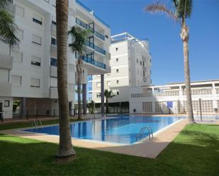 Piscina de Apartament de lloguer en Daimús amb Aire condicionat, Terrassa i Piscina