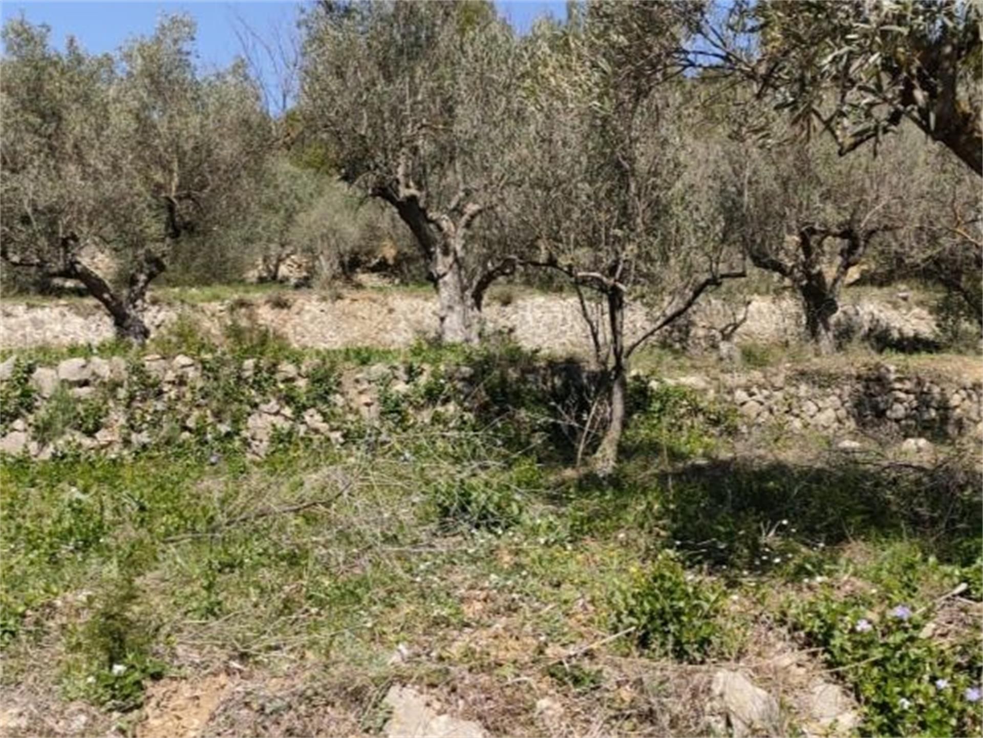 Finca rústica en venda en Castell de Castells