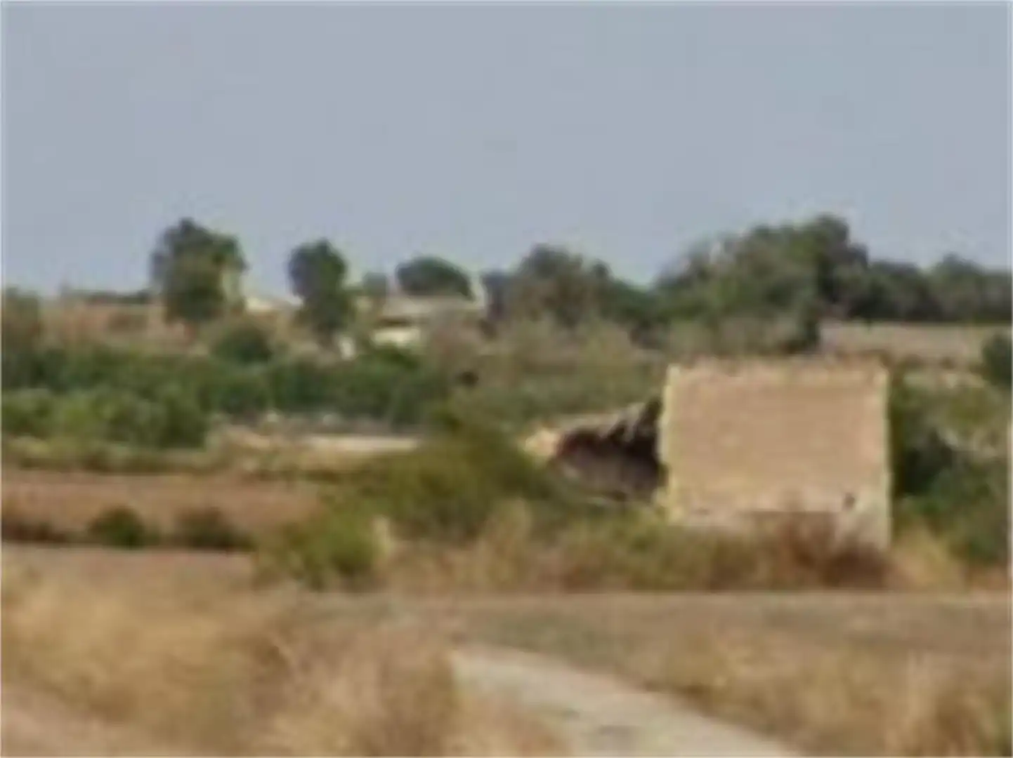 Finca rústica en venta en Santa Margalida