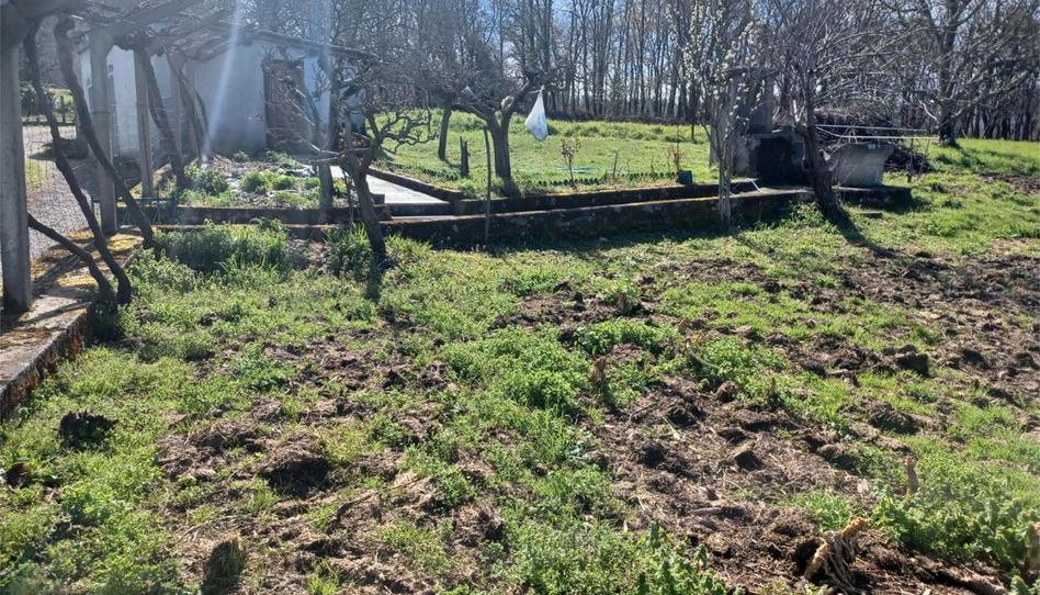 Foto 1 de Terreny en venda a Aldea Correxas, 5, Celanova, Ourense
