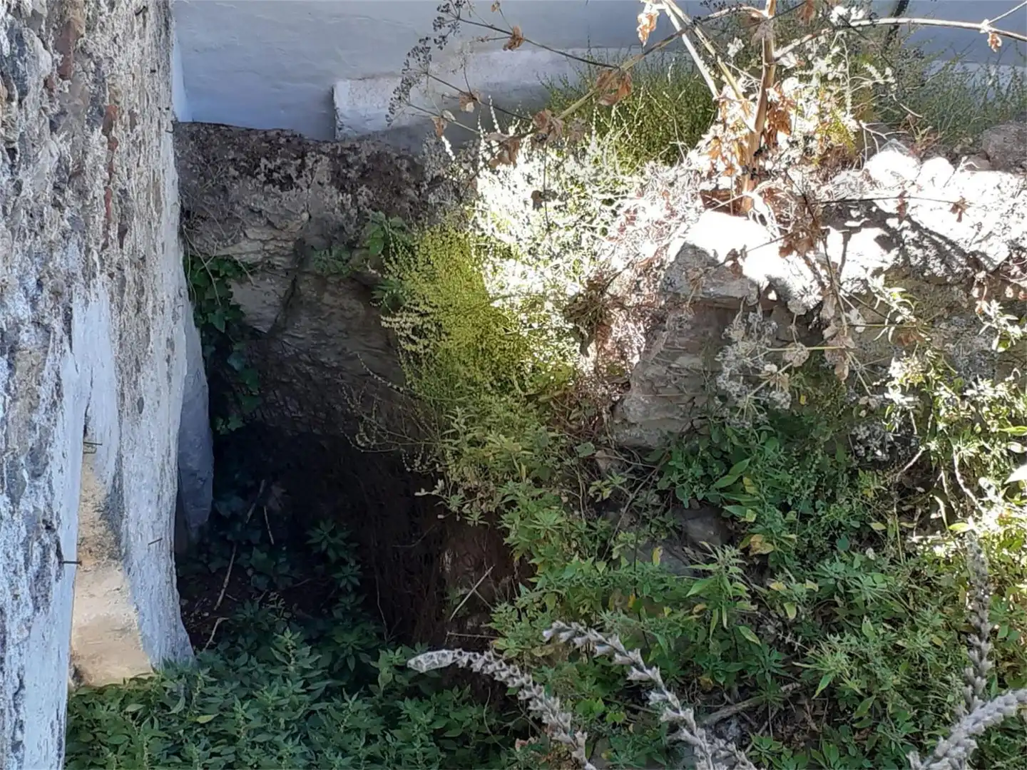 Planta baixa en venda a Calle Carrera, 122, Casares pueblo Jardí de Planta baixa en venda en Casares