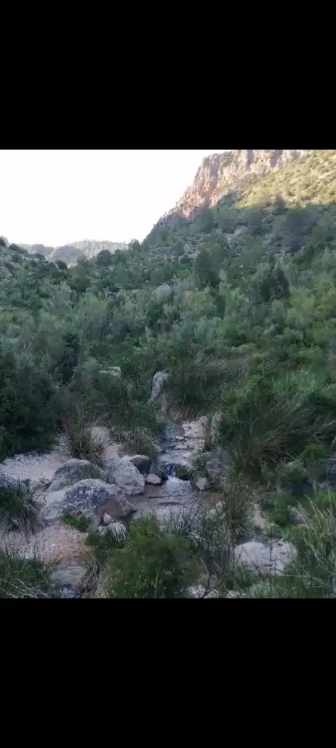 Land for sale in Calle Vizcable, 1, Yeste Land for sale in Yeste