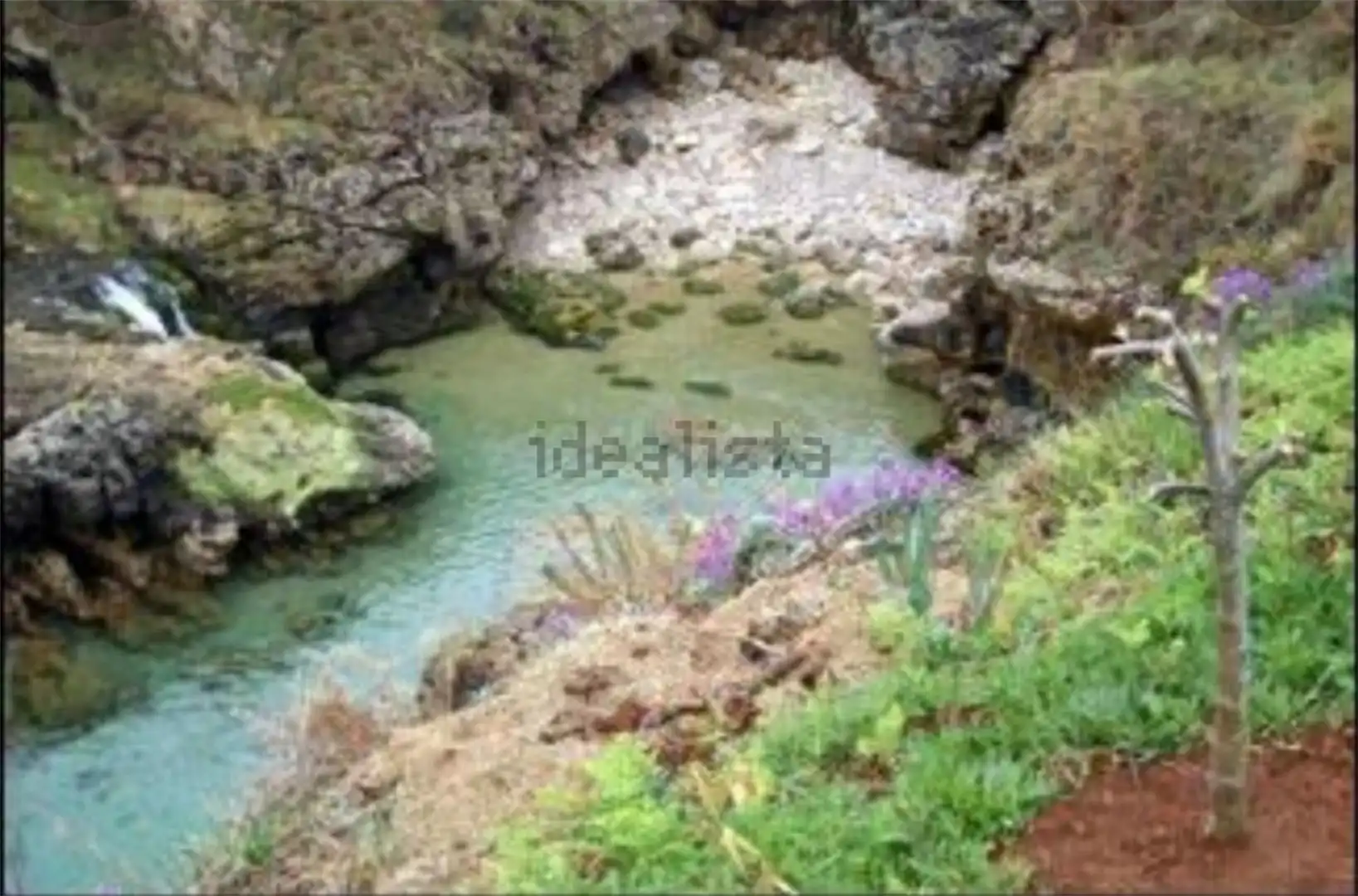 Jardí de Casa o xalet en venda en Alfoz de Lloredo amb Terrassa i Balcó