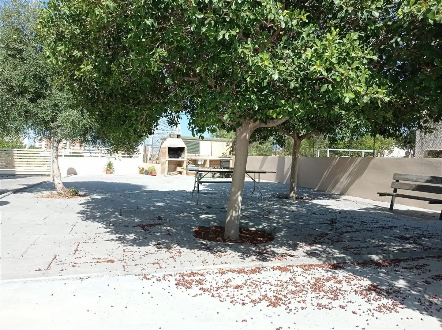 Pis en venda a Carrer del 9 D'Octubre, 93, Les Boqueres - Santa Quiteria Terrassa de Pis en venda en Almazora / Almassora amb Aire condicionat, Calefacció i Jardí privat