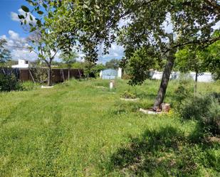 Finca rústica en venda en Castilblanco de los Arroyos amb Piscina