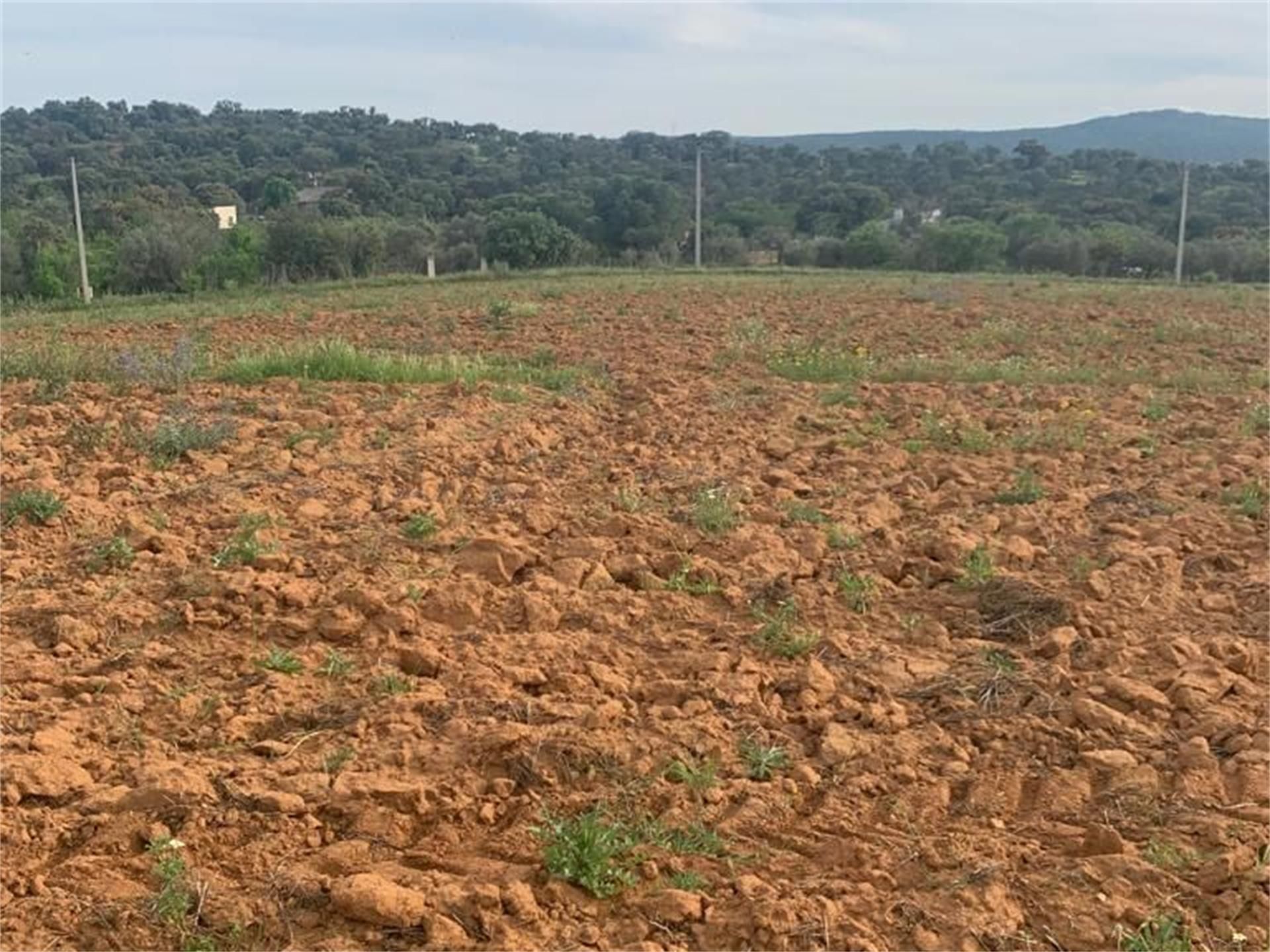 Finca rústica en venda en Don Álvaro