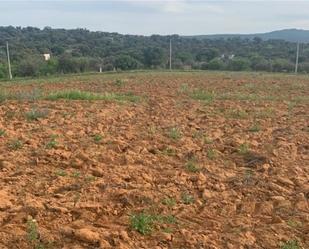 Finca rústica en venda en Don Álvaro