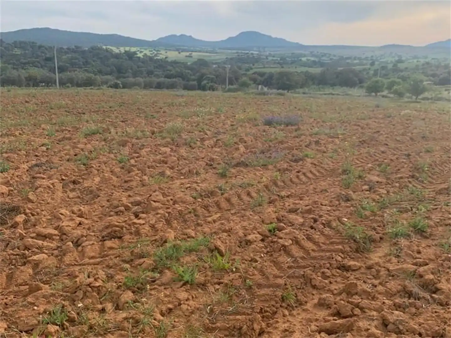 Finca rústica en venda en Don Álvaro