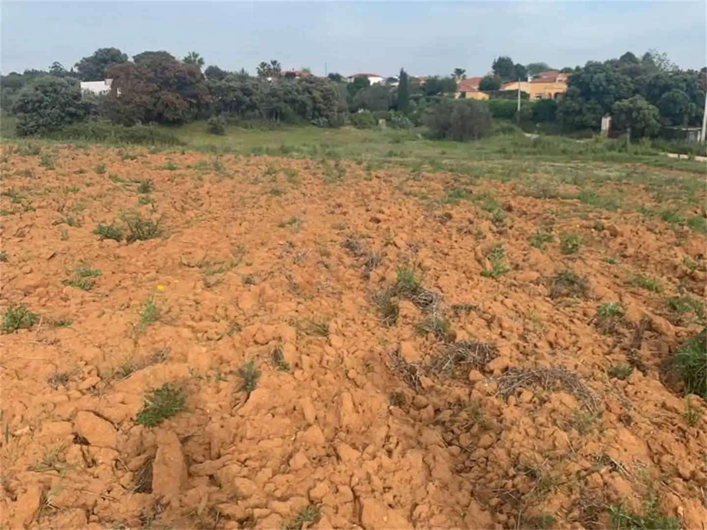 Finca rústica en venda en Don Álvaro