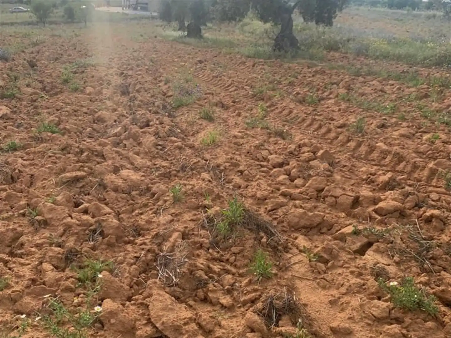 Finca rústica en venda en Don Álvaro