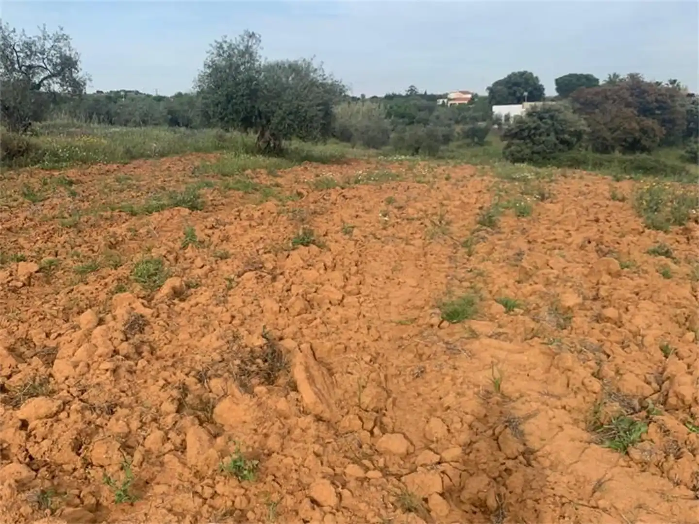 Finca rústica en venda en Don Álvaro