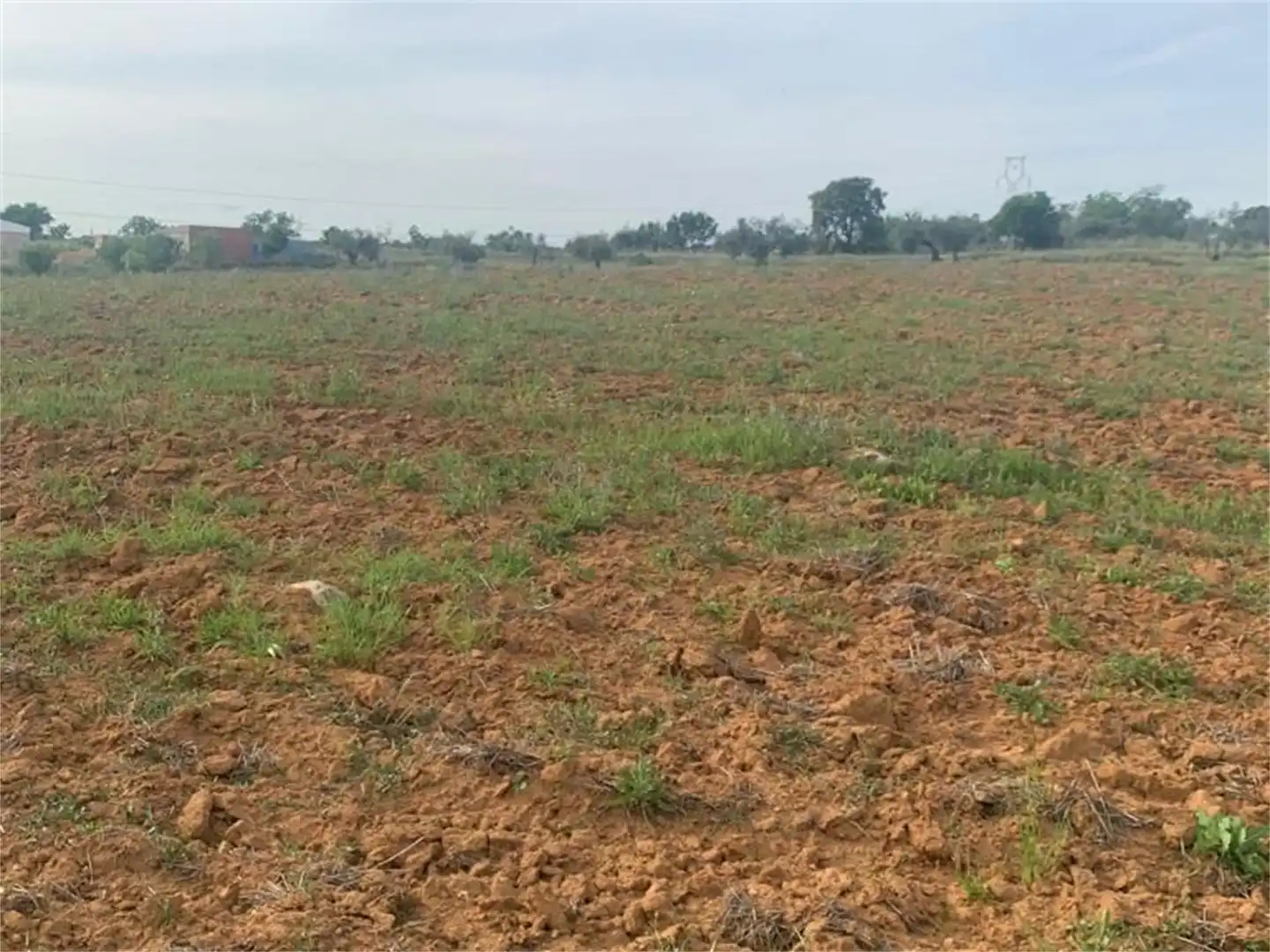 Finca rústica en venda en Don Álvaro