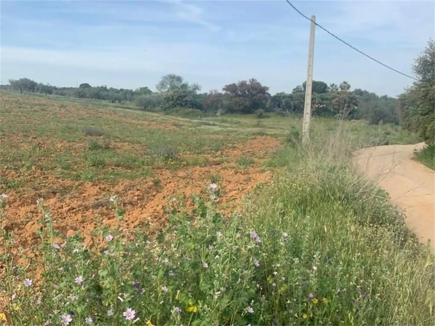 Finca rústica en venda en Don Álvaro