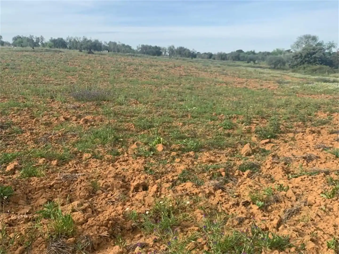 Finca rústica en venda en Don Álvaro