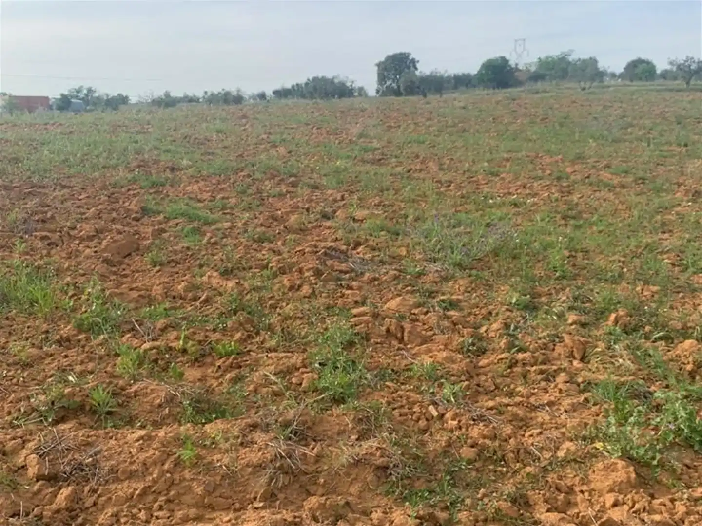 Finca rústica en venda en Don Álvaro
