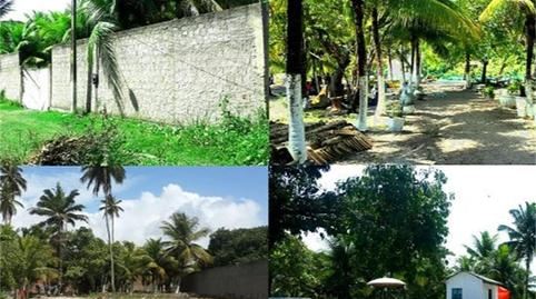 Land for sale in Carrer de Girona, 110, Dreta de l'Eixample, Barcelona - image 3 Photo 3 of Land for sale in Carrer de Girona, 110, Dreta de l'Eixample, Barcelona