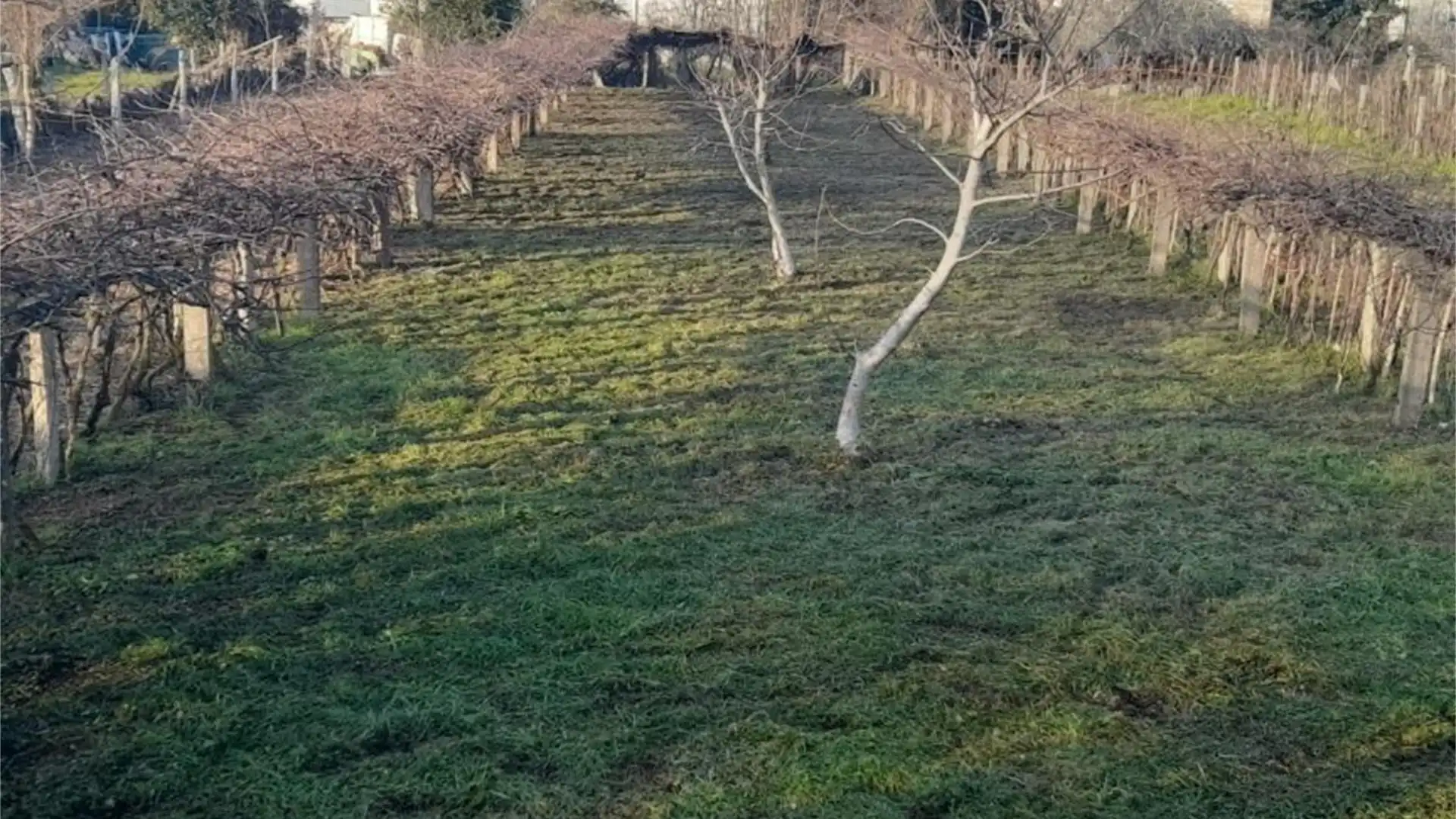 Terreno en venta en Mondariz-Balneario