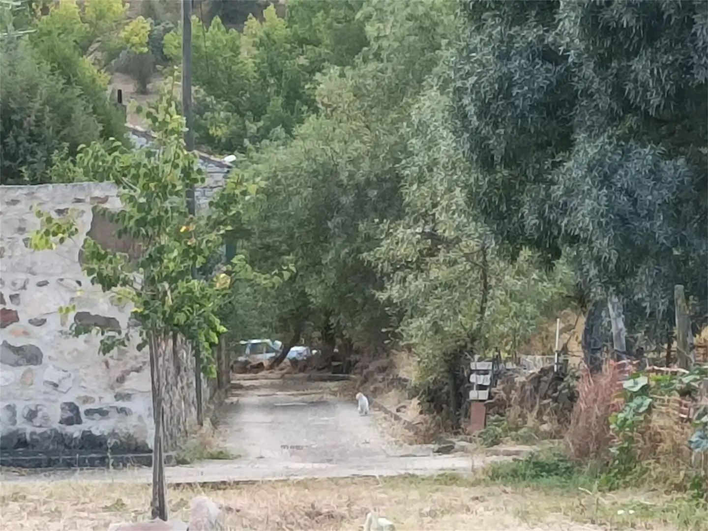 Grundstücke zum Verkauf in Travesía de Abajo, 35, Orejana Außenansicht von Grundstücke zum Verkauf in Orejana