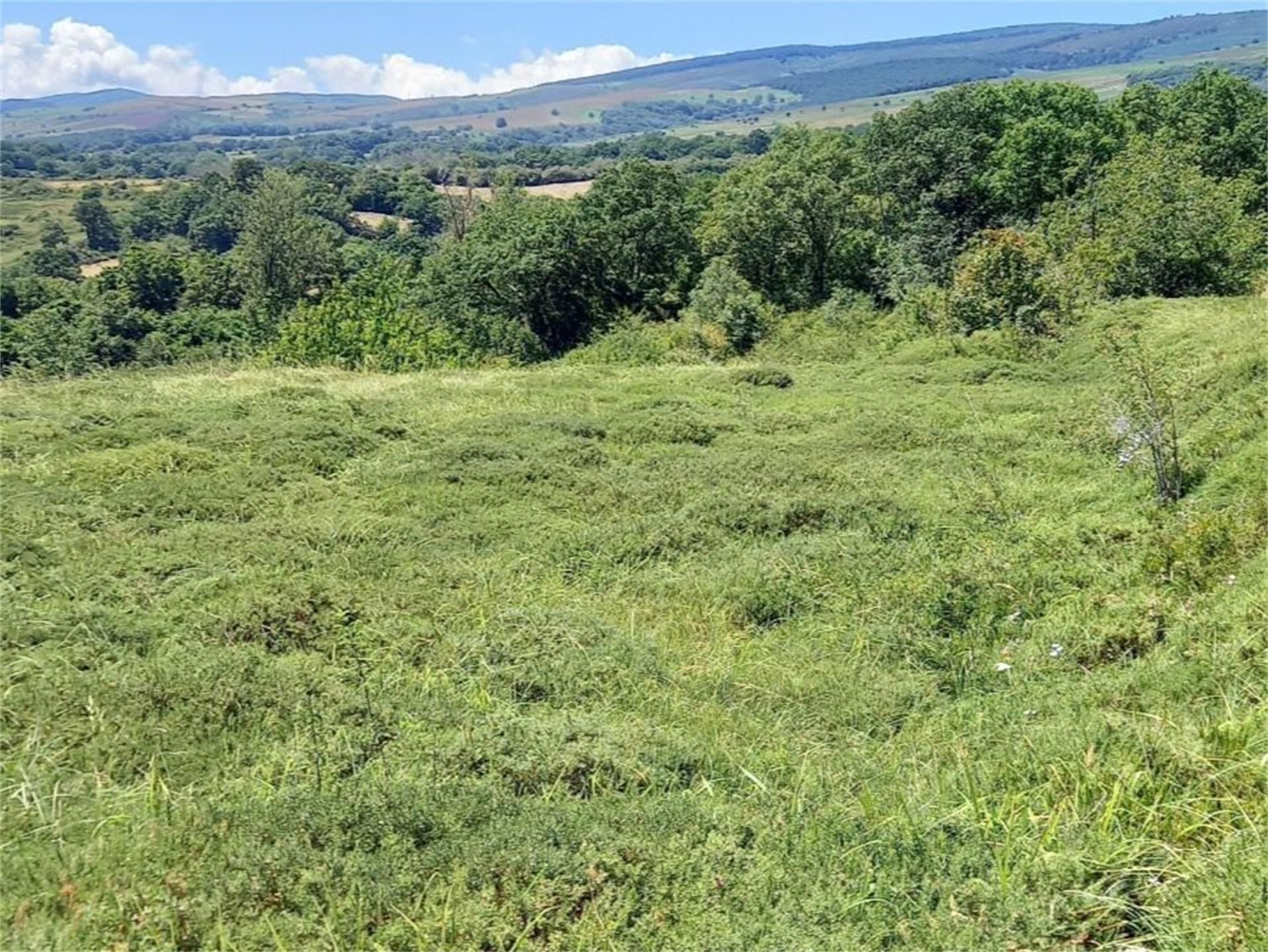 No Urbanitzable en venda en Merindad de Montija