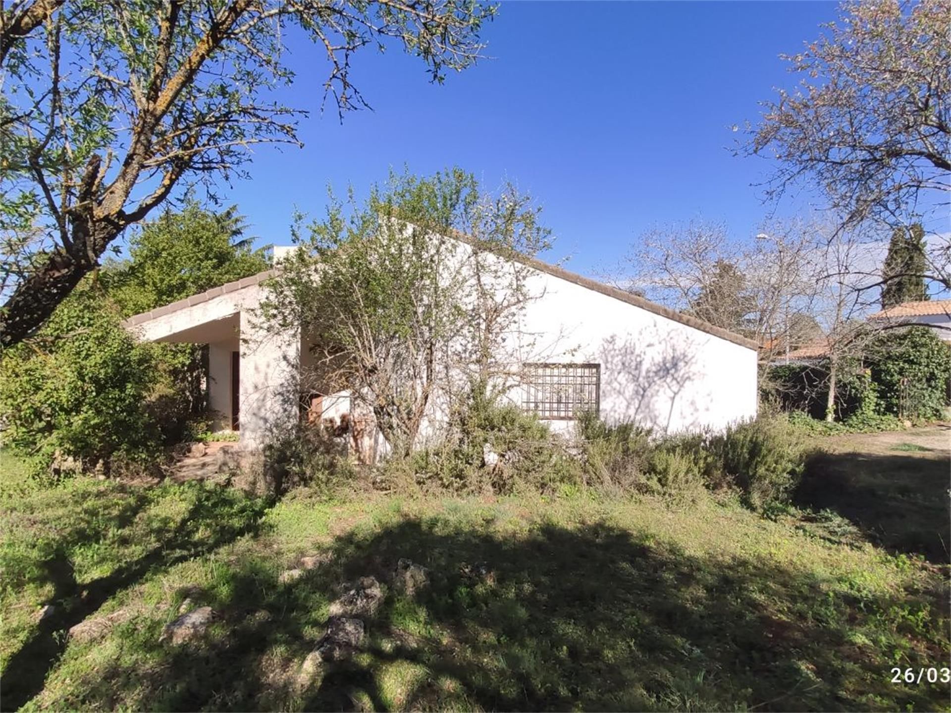 Garden of House or chalet for sale in Villar del Olmo