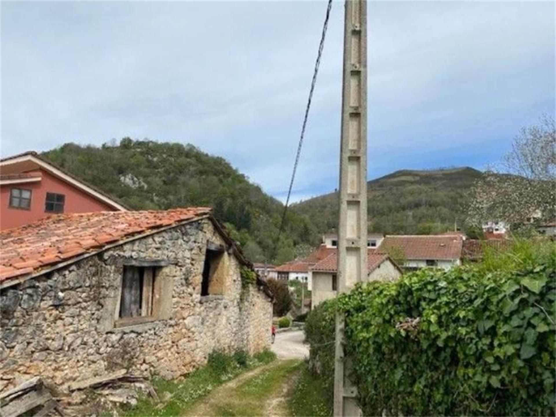 Vista exterior de Finca rústica en venta en Cabrales