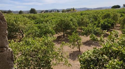 Finca rústica en venda a Calle Mayor de Ramón y Cajal, 9, Orihuela ciudad, Alicante - imatge 2 Foto 2 de Finca rústica en venda a Calle Mayor de Ramón y Cajal, 9, Orihuela ciudad, Alicante