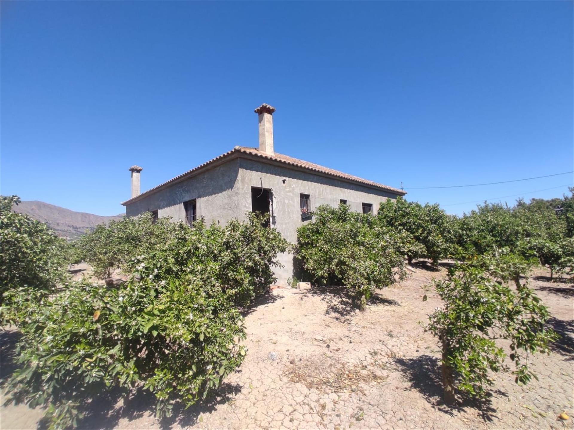 Vista exterior de Finca rústica en venda en Orihuela