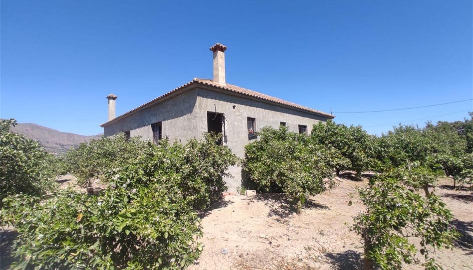 Finca rústica en venda a Calle Mayor de Ramón y Cajal, 9, Orihuela ciudad, Alicante - imatge 1 Foto 1 de Finca rústica en venda a Calle Mayor de Ramón y Cajal, 9, Orihuela ciudad, Alicante