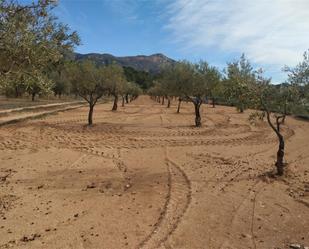 Jardí de Finca rústica en venda en Tibi