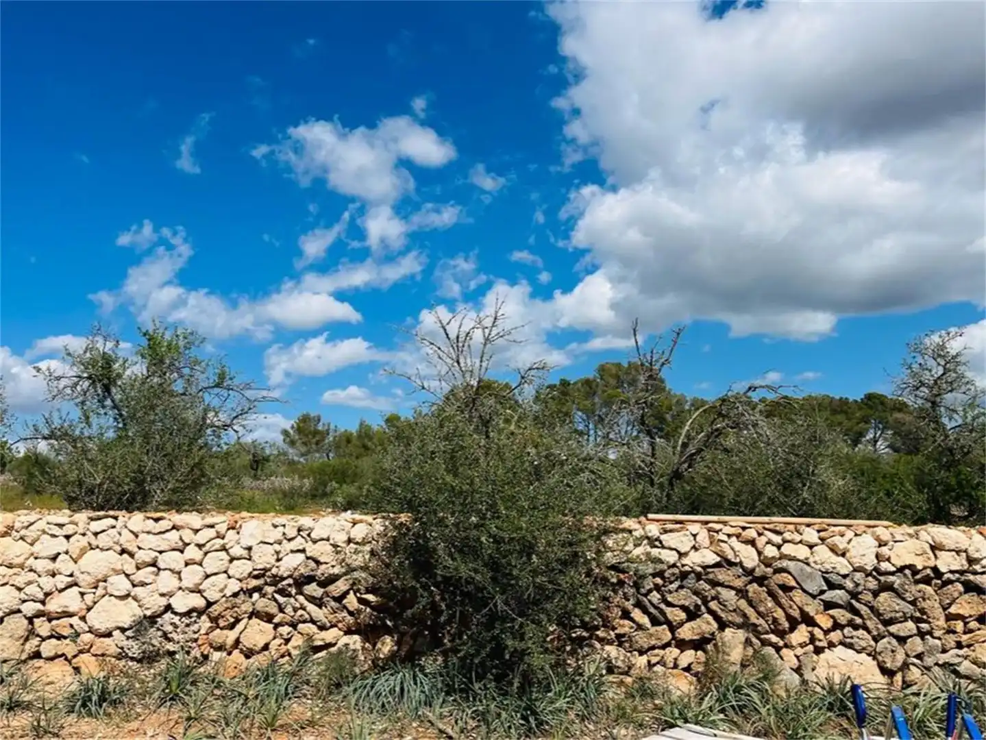 Country house zum Verkauf in Passeig de Mallorca, 11a, Ponent Außenansicht von Country house zum Verkauf in Palma de Mallorca mit Klimaanlage, Terrasse und Schwimmbad