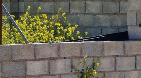 Foto 4 de Finca rústica en venda a Calle Trigal, 26, Úbeda, Jaén