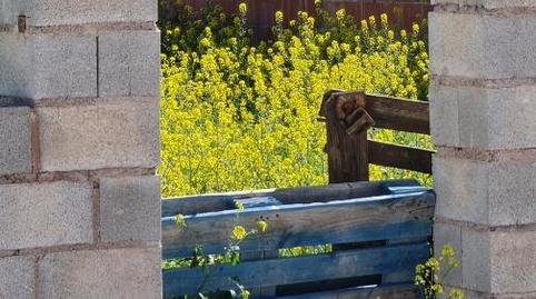 Foto 3 de Finca rústica en venda a Calle Trigal, 26, Úbeda, Jaén