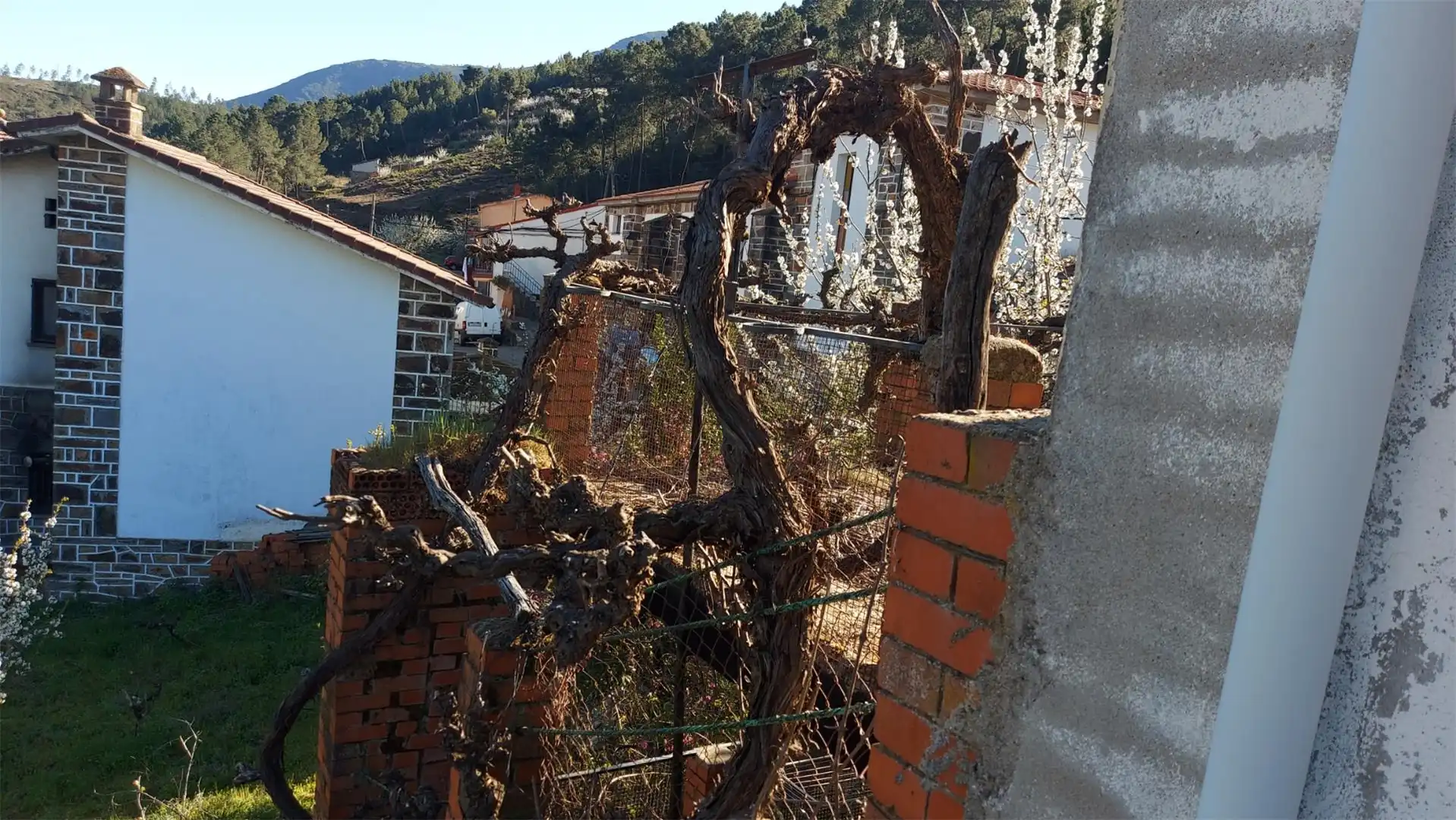 Piso en venta en Calle Rela, 88, Pinofranqueado Vista exterior de Piso en venta en Pinofranqueado con Terraza y Balcón