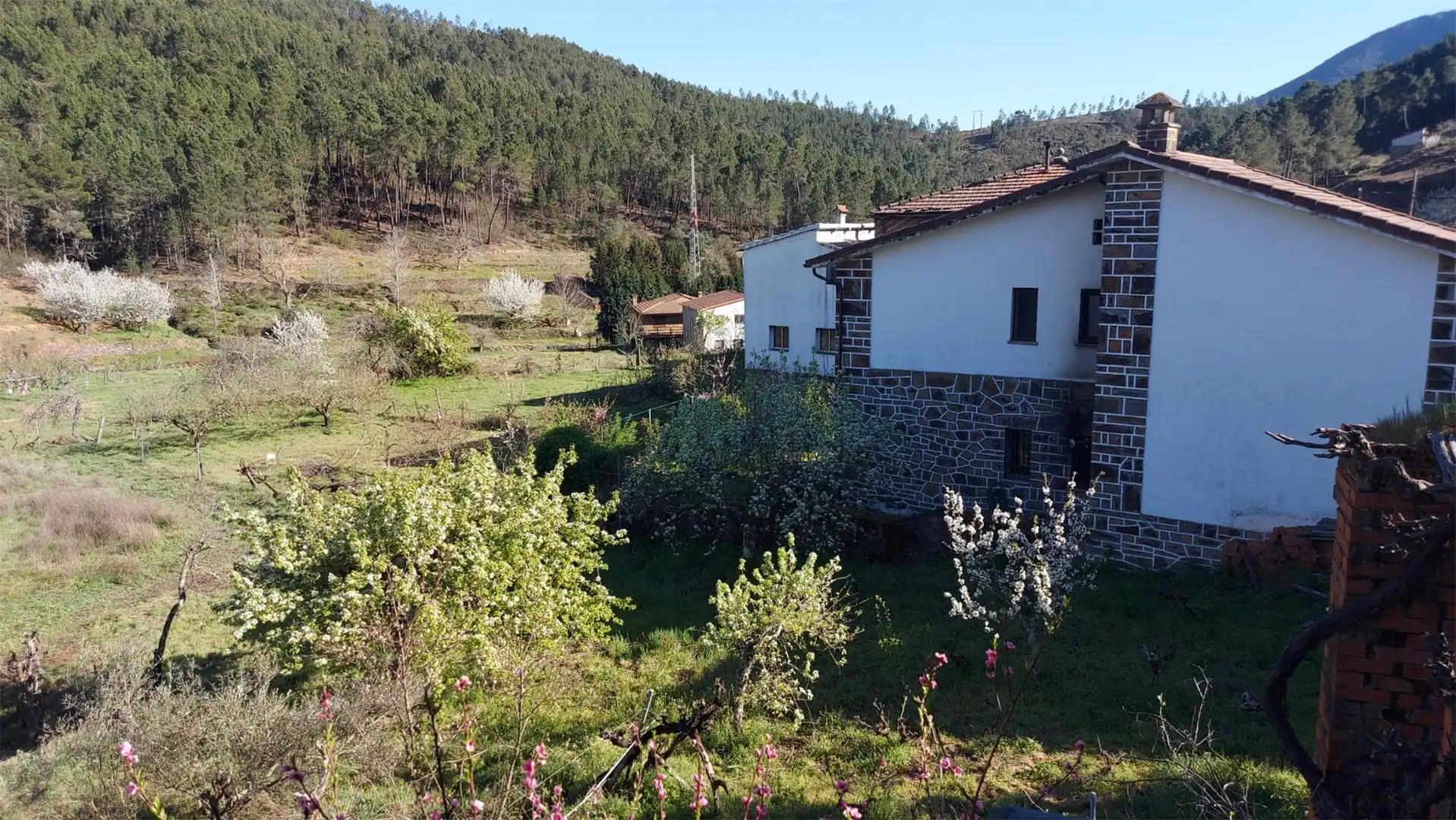 Piso en venta en Calle Rela, 88, Pinofranqueado Vista exterior de Piso en venta en Pinofranqueado con Terraza y Balcón