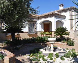 Garden of House or chalet for sale in Alcalá de Guadaira