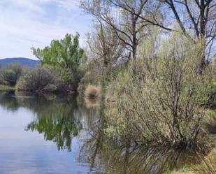 Terreny en venda a Piedrabuena