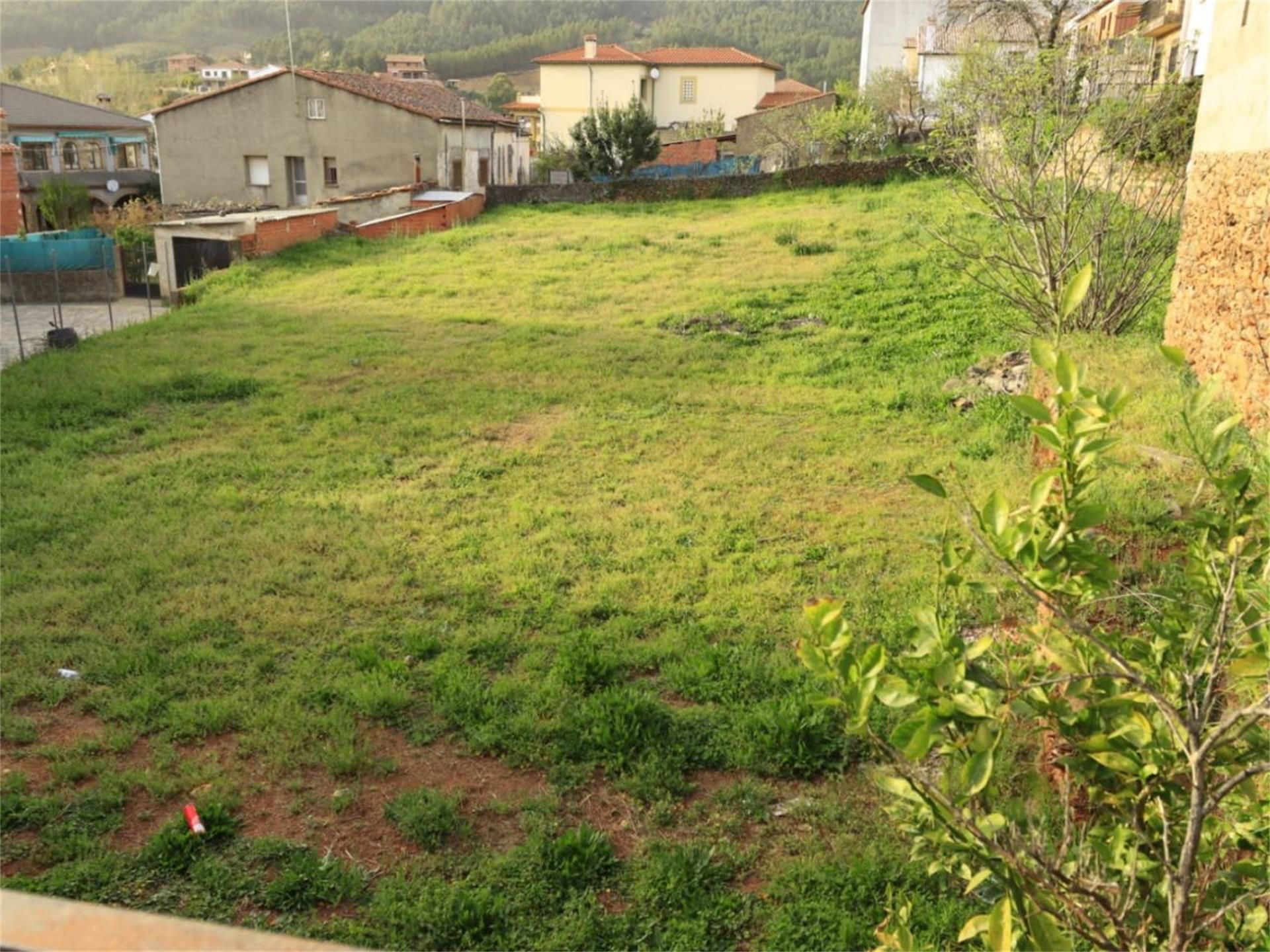Land for sale in Pinofranqueado
