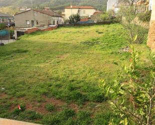 Land for sale in Pinofranqueado