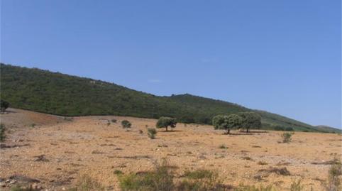 Foto 2 de Terreny en venda a Calle Cucharona, 6, Baterno, Badajoz