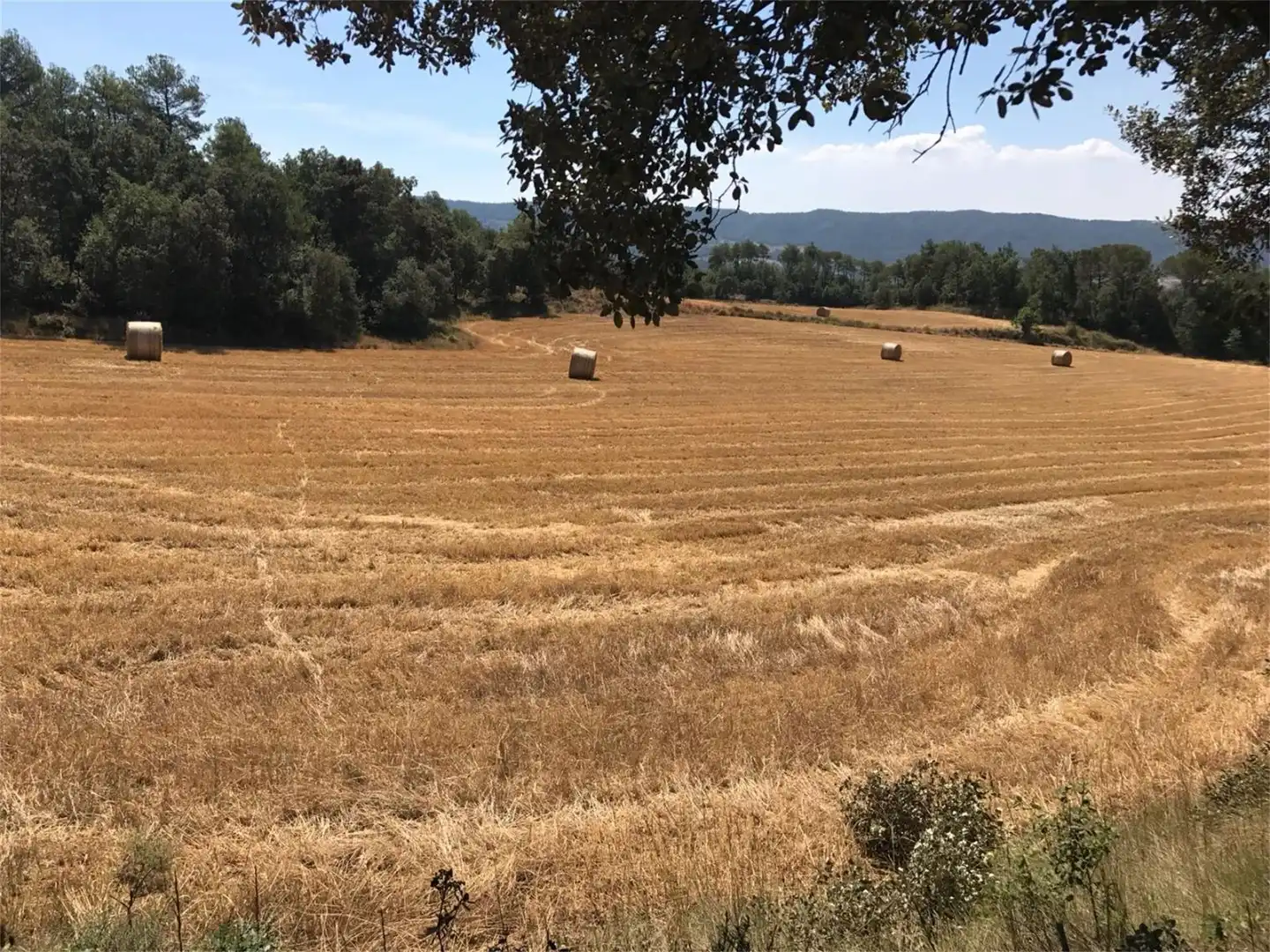 Terreno en venta en Sagàs Terreno en venta en Sagàs