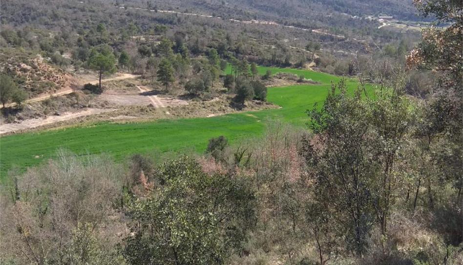Terreny en venda a Sagàs, Barcelona - imatge 1 Foto 1 de Terreny en venda a Sagàs, Barcelona