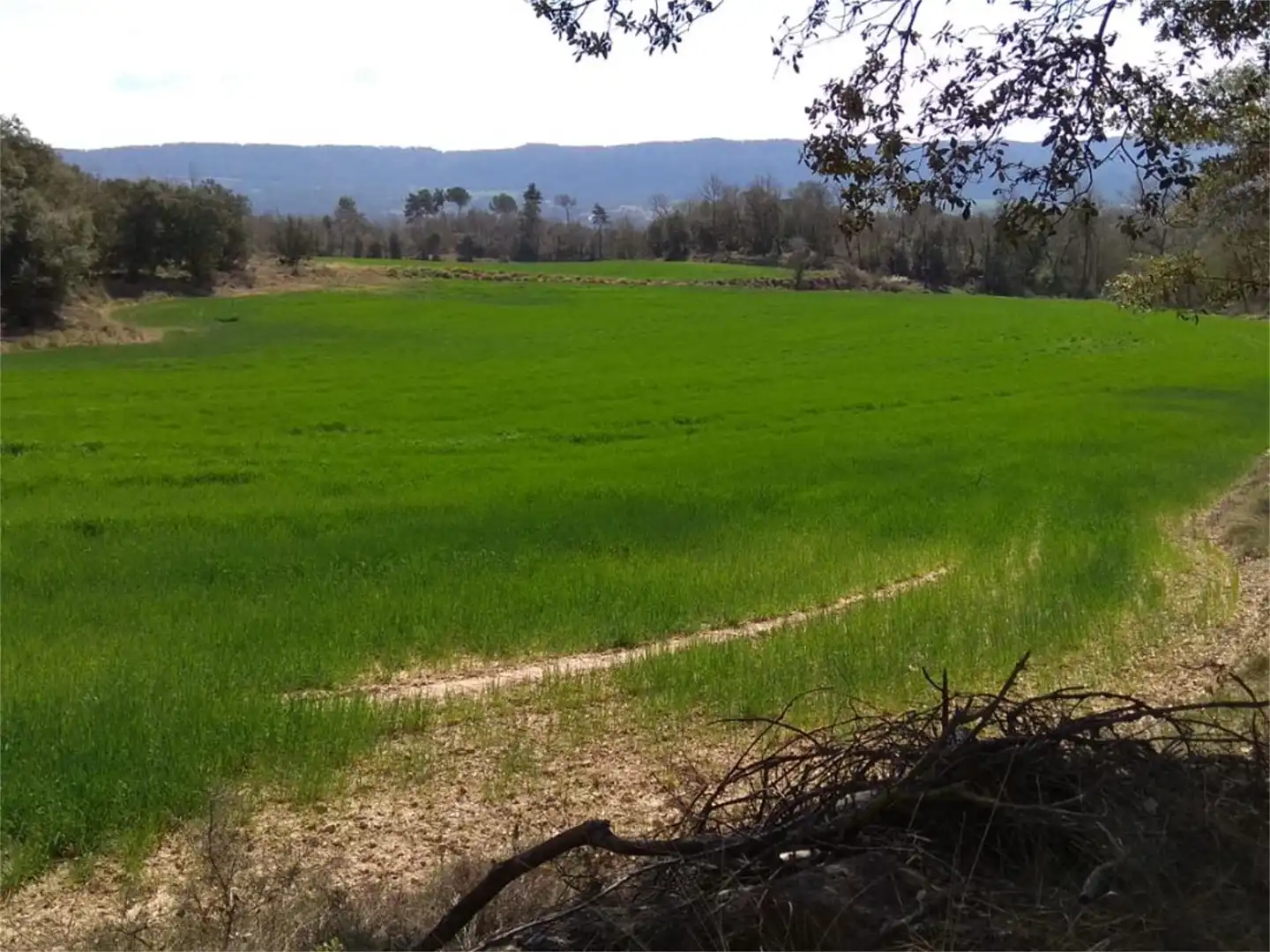 Terreno en venta en Sagàs Terreno en venta en Sagàs