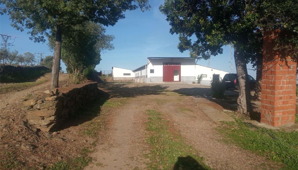 Casa o chalet en venta en Mirabel, Cáceres - imagen 1 Foto 1 de Casa o chalet en venta en Mirabel, Cáceres