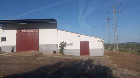 Casa o chalet en venta en Mirabel, Cáceres - imagen 2 Foto 2 de Casa o chalet en venta en Mirabel, Cáceres