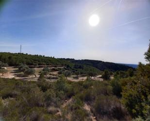 Land for sale in Riba-roja d'Ebre